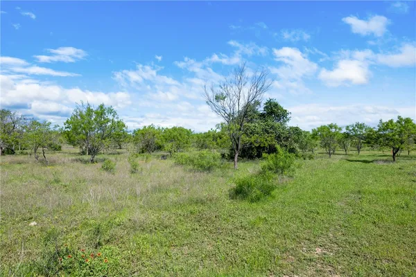 $425,000 | 236 Liberty Hill, Liberty Hill, TX 78642