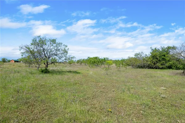 $425,000 | 236 Liberty Hill, Liberty Hill, TX 78642