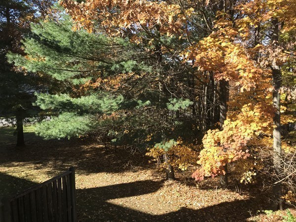 91 Stone Ridge Road, Unit 91 Franklin, MA 02038 - Photo 12 of 19 Gallery Image 12