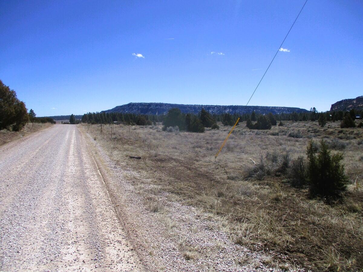 Lot 10 Sagebrush Road Ramah, NM 87321 - Photo 62 of 90 Gallery Image 62