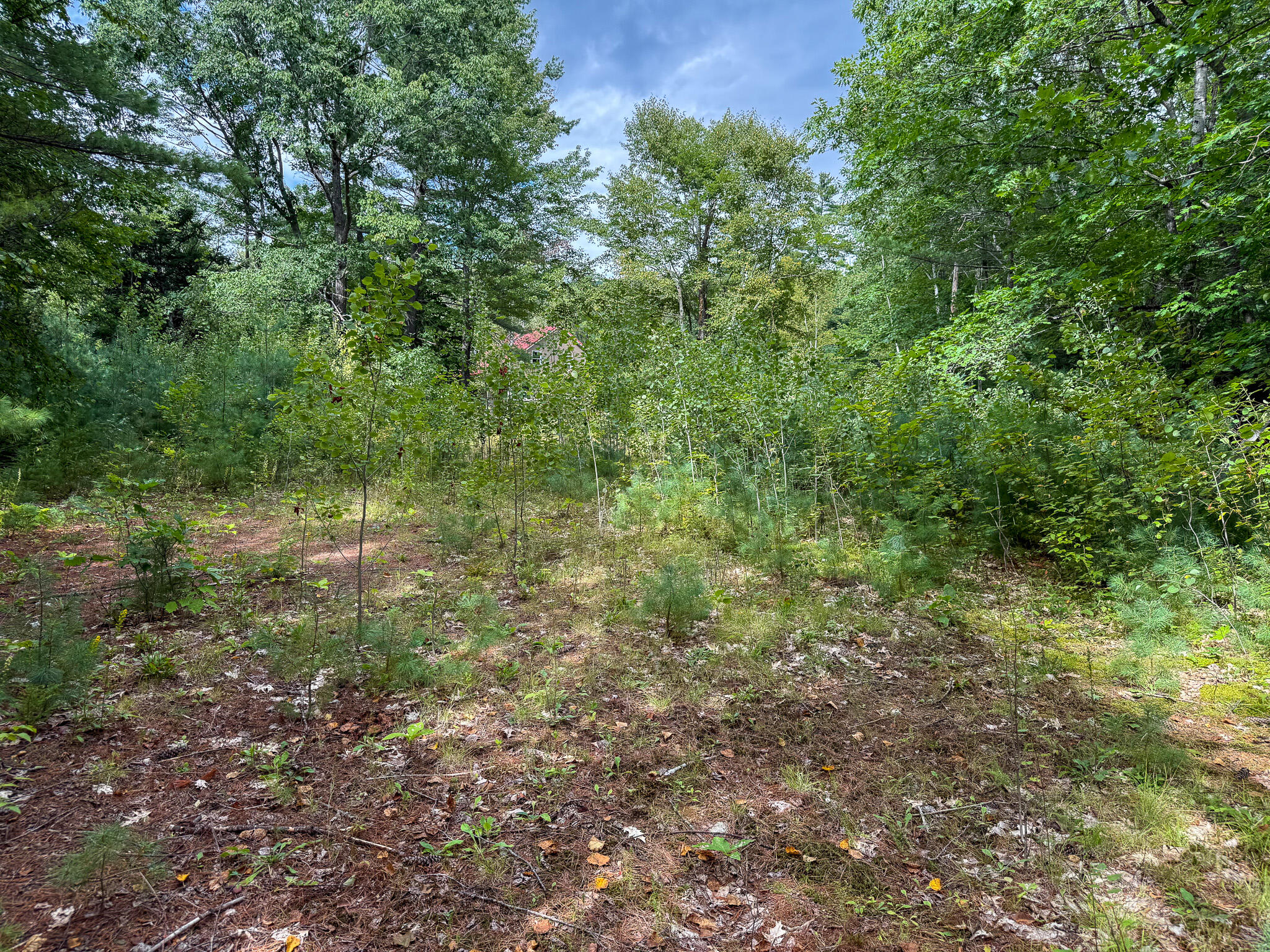 1288 Roxbury Road Roxbury, ME 04275 - Photo 10 of 14 IMG_1550
