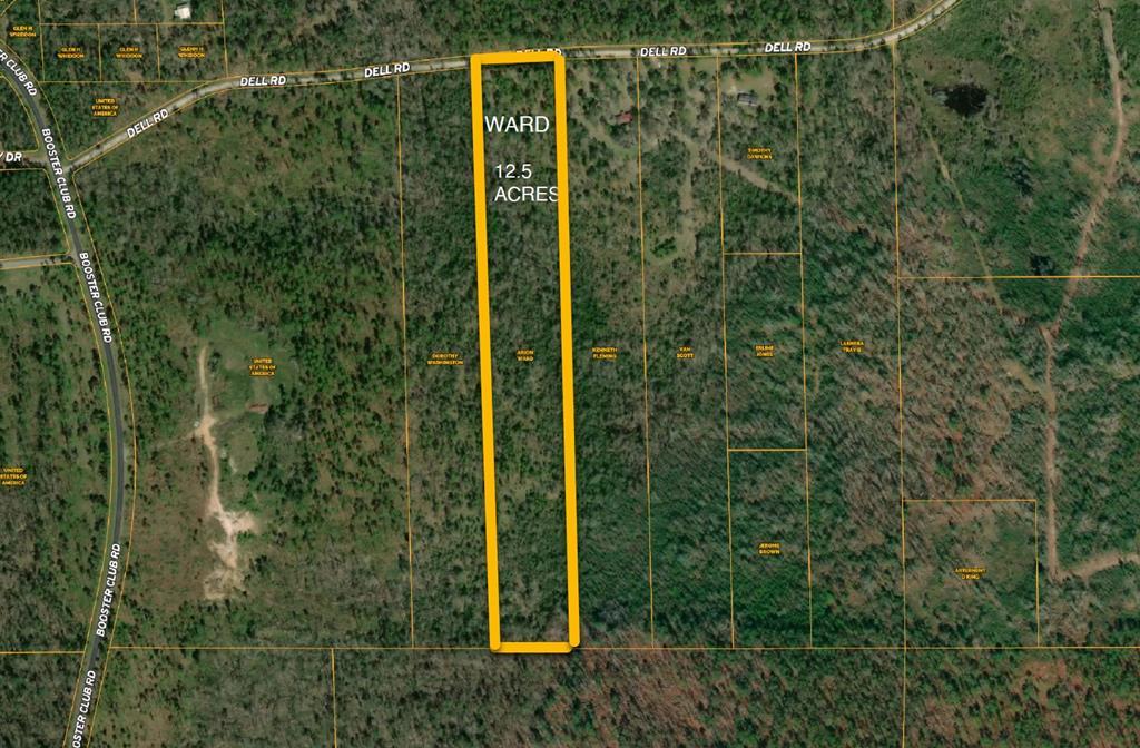 0 Dell Road Bainbridge, GA 39819 - Photo 2 of 6 Gallery Image 2