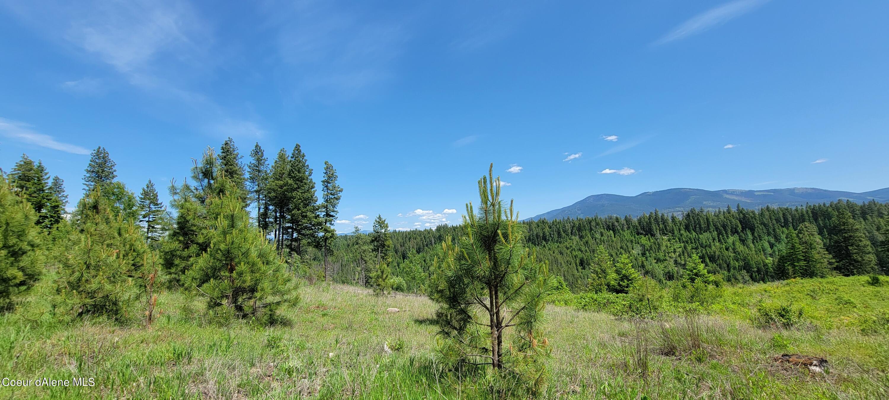 6 Bonners Ferry Naples, ID 83847 - Photo 8 of 22 20230530_131117