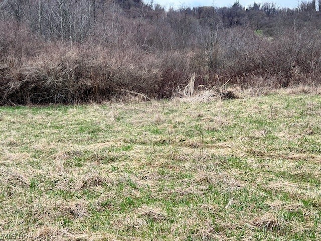 0 Johnson Bethel Road Barnesville, OH 43713 - Photo 6 of 7 Open lot
