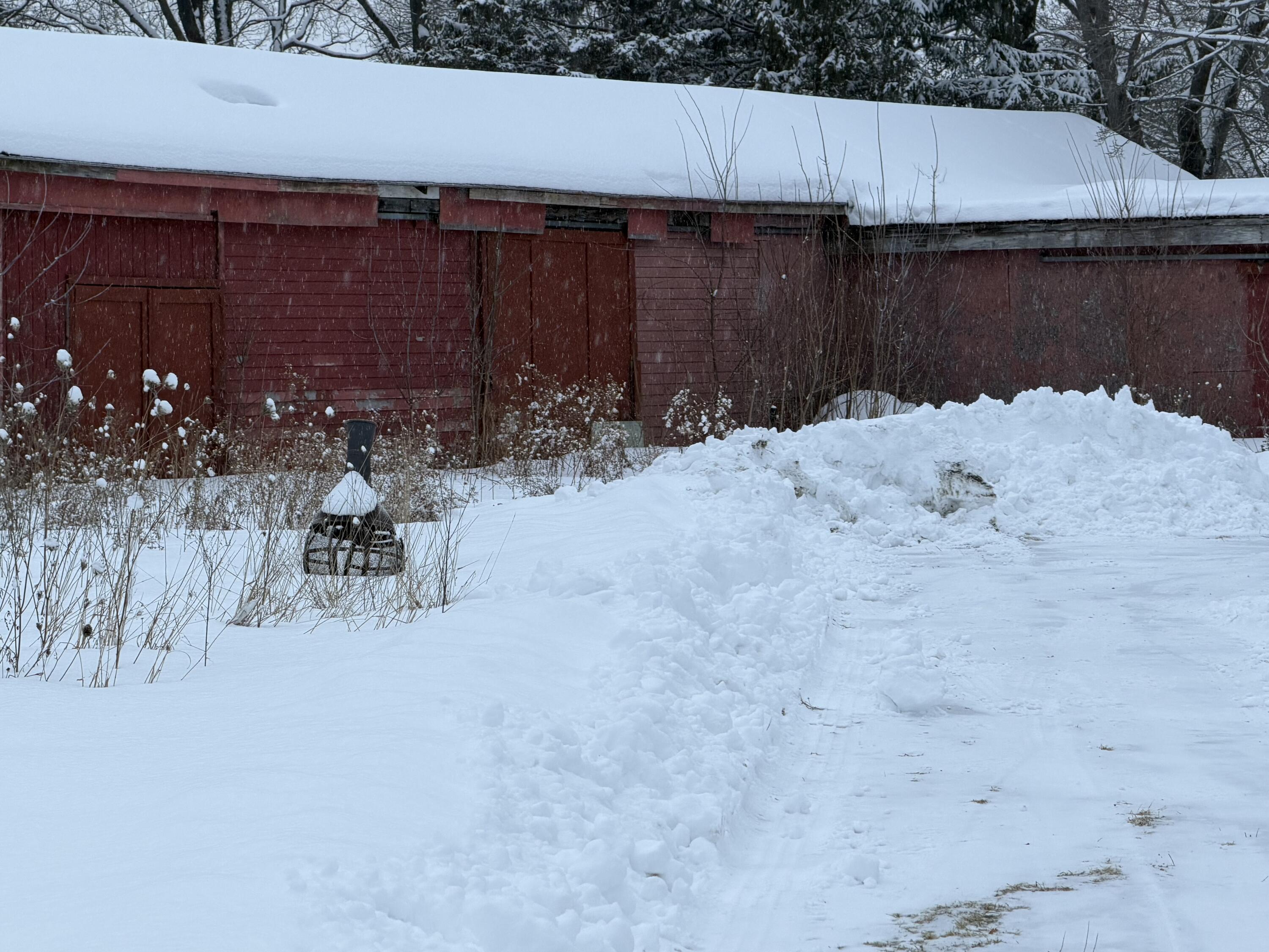 20 13th Street Bangor, ME 04401 - Photo 6 of 24 IMG_2598