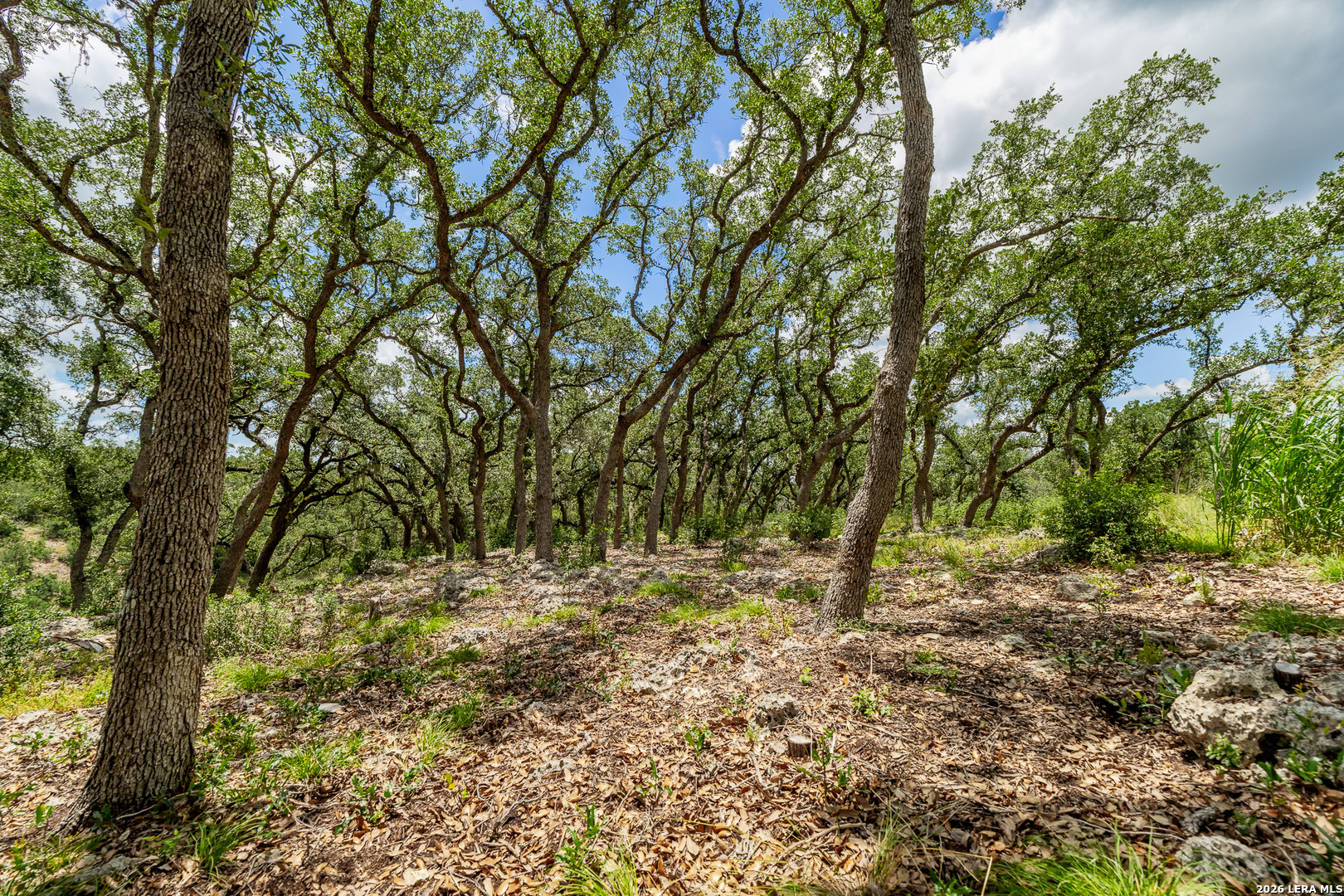 7 Hidden Springs Spring Branch, TX 78070 - Photo 36 of 44 Gallery Image 36
