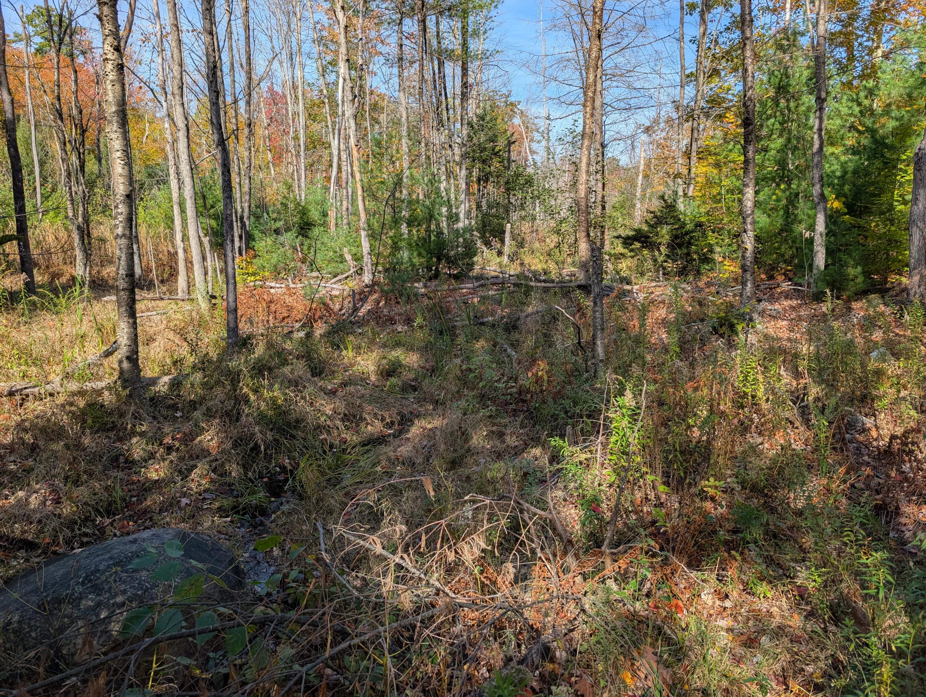 0 Gibbs Mill Road Livermore, ME 04253 - Photo 20 of 38 PXL_20251010_171555266