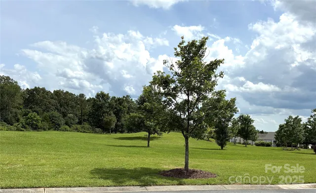 $389,500 | 31470 Royal Tern Lane, Indian Land, SC 29707