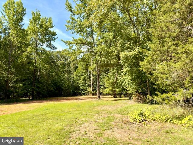 Countyline Church Road Woodford, VA 22580 - Photo 2 of 5