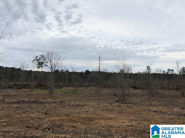 Pine Mountain Road, Unit 2 Springville, AL 35146 - Photo 11 of 16