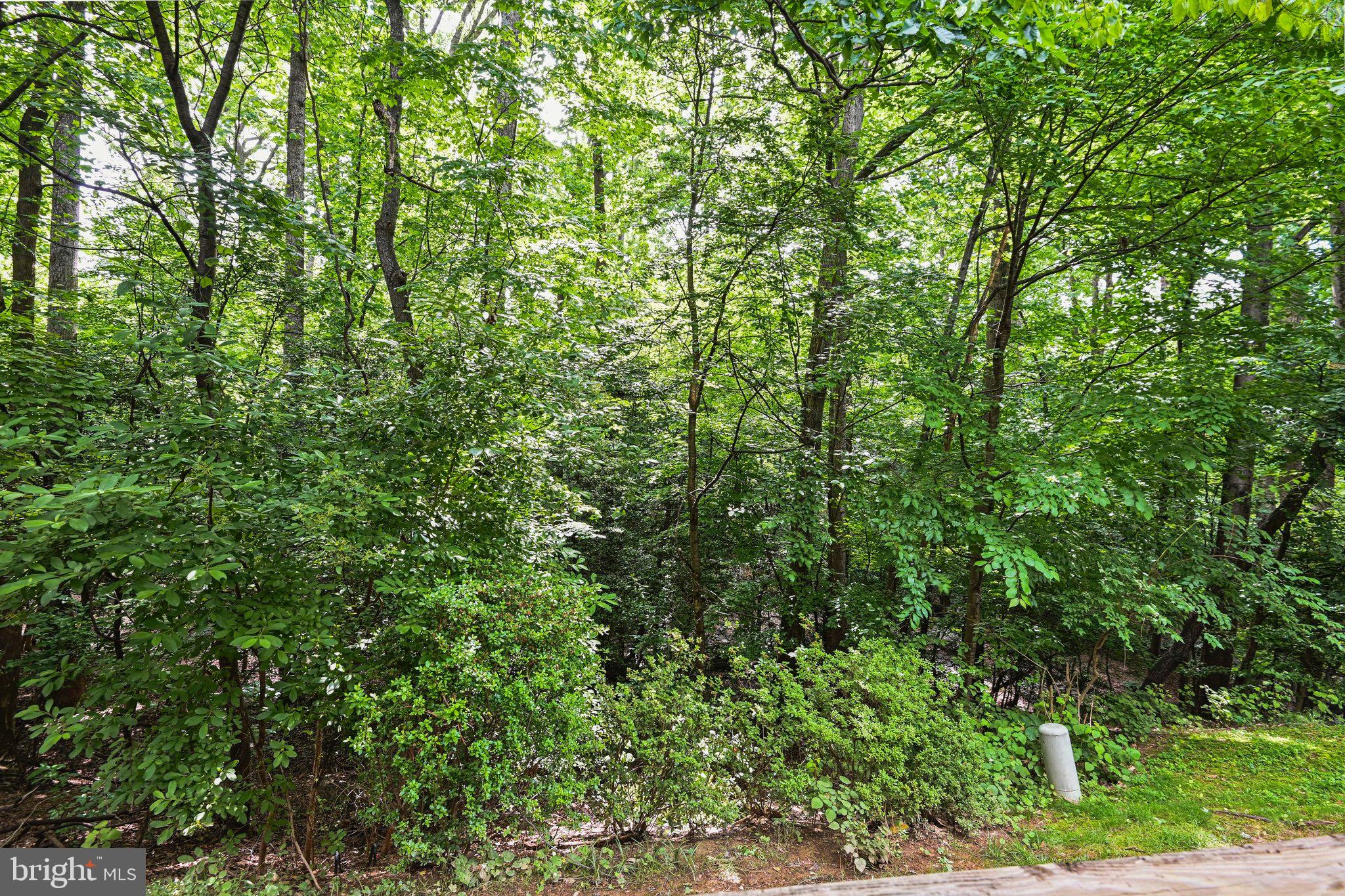 2249 Gunsmith Square Reston, VA 20191 - Photo 46 of 56 Gallery Image 46