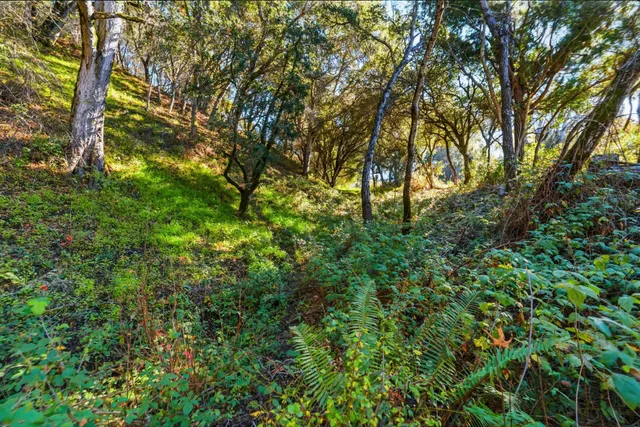 $1,650,000 | 206 Gaffey Road, Watsonville, CA 95076