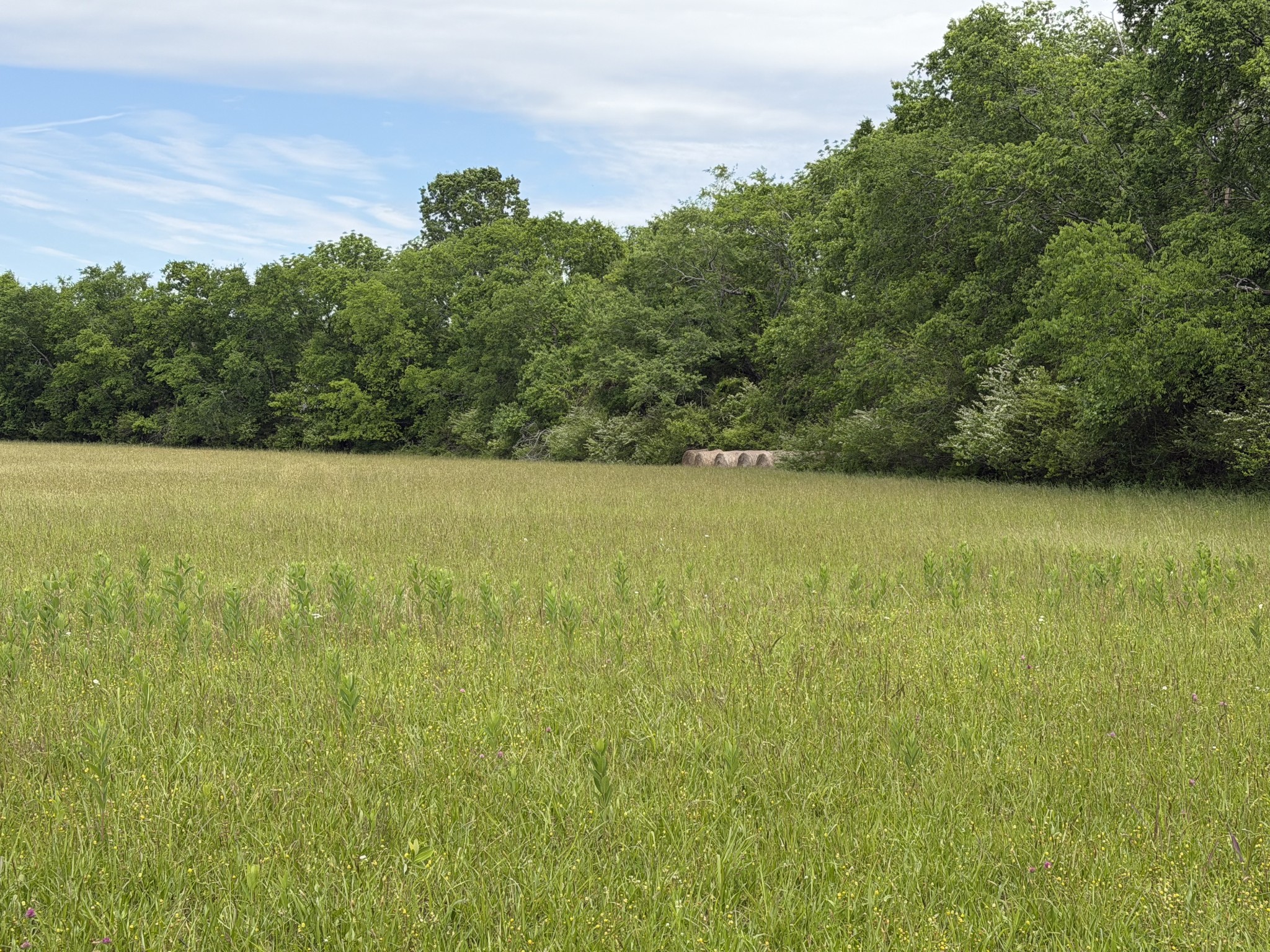 0 Madison Creek Road Goodlettsville, TN 37072 - Photo 2 of 6