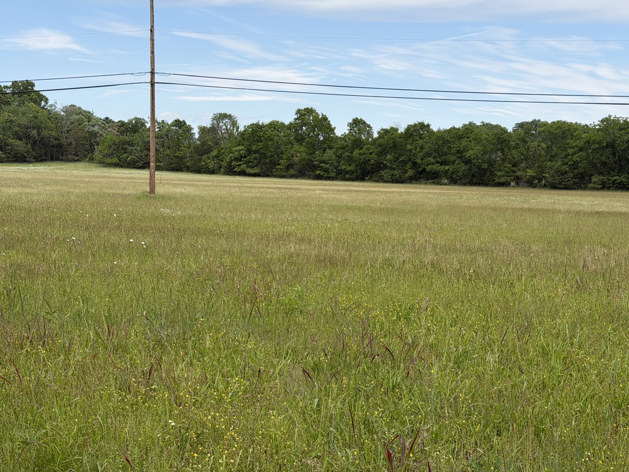 0 Madison Creek Road Goodlettsville, TN 37072 - Photo 5 of 6