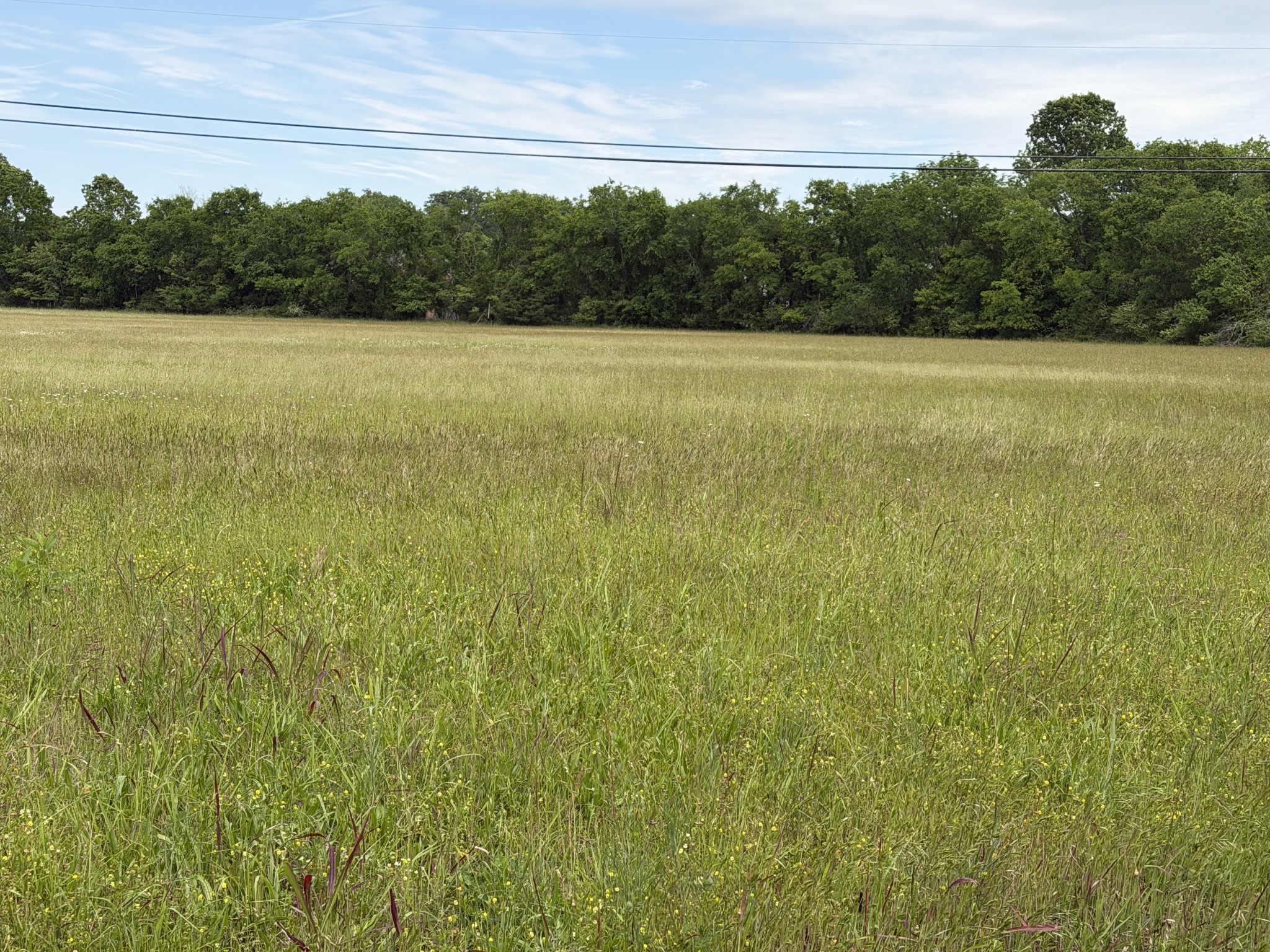 0 Madison Creek Road Goodlettsville, TN 37072 - Photo 6 of 6