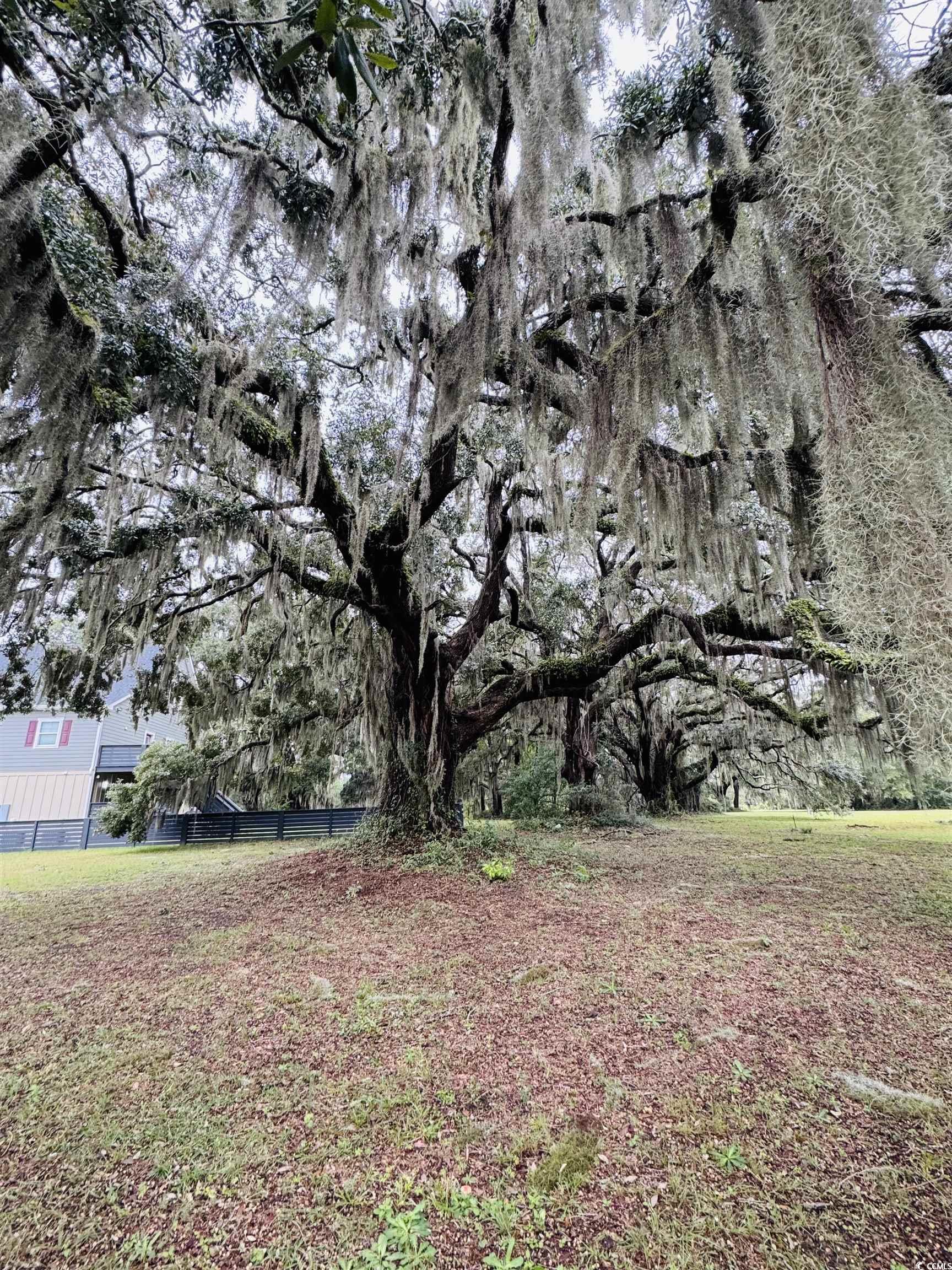 Lot 50 Oak Bay Drive Georgetown, SC 29440 - Photo 25 of 25 View of yard