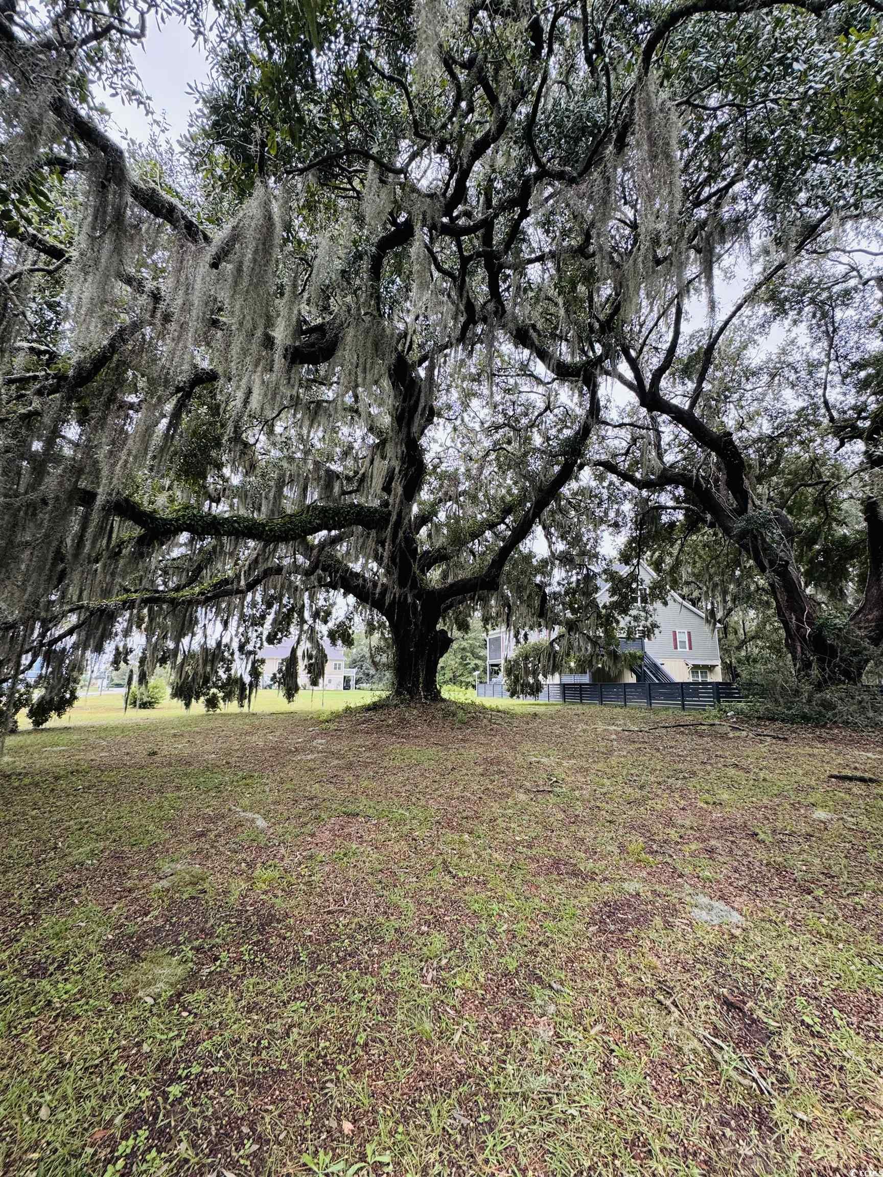 Lot 50 Oak Bay Drive Georgetown, SC 29440 - Photo 4 of 25 View of yard