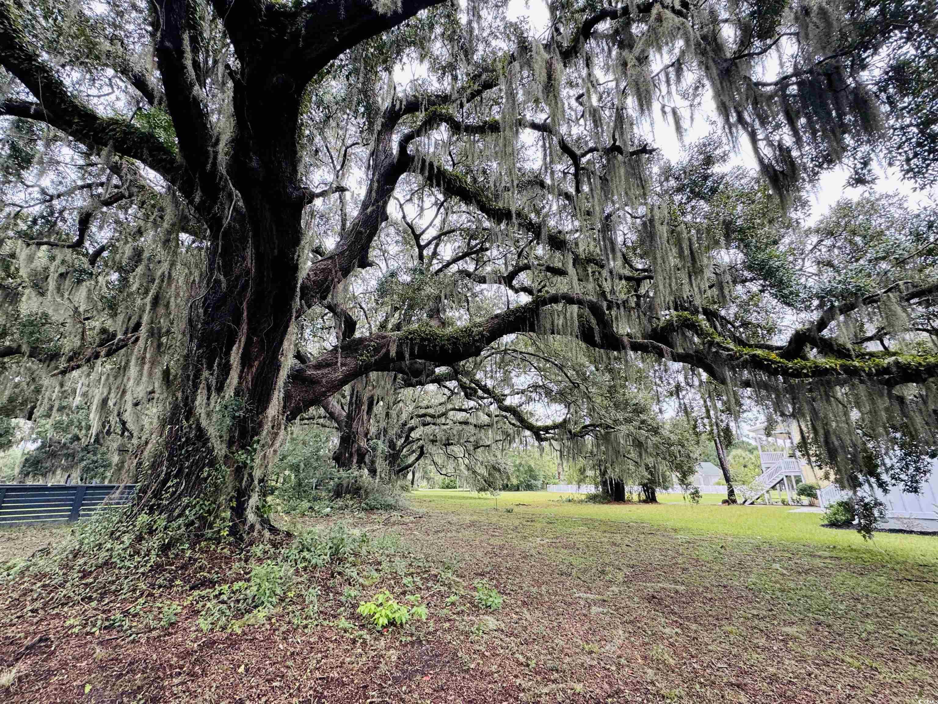 Lot 50 Oak Bay Drive Georgetown, SC 29440 - Photo 6 of 25 View of green lawn