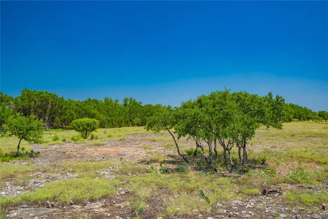 a view of a yard with a tree