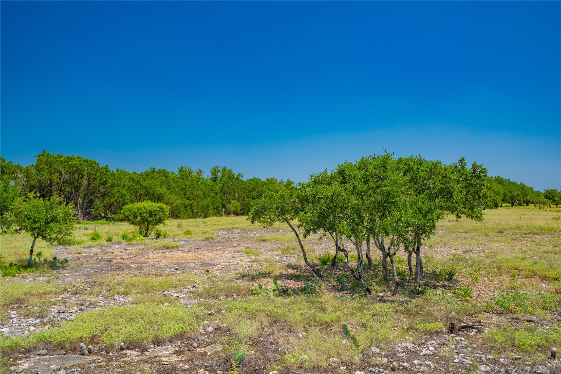 Ranch #6 Ranch Road Austin, TX 78737 - Photo 20 of 32 a view of a yard with a tree