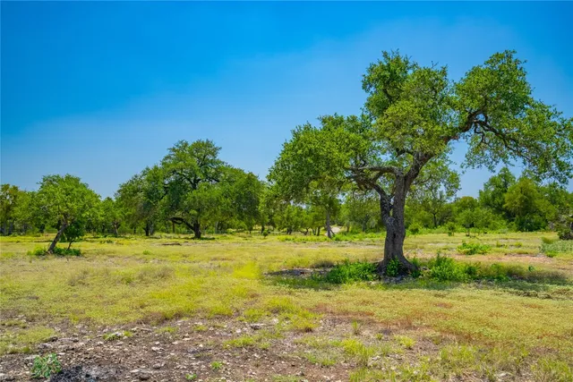 a view of a field with an trees