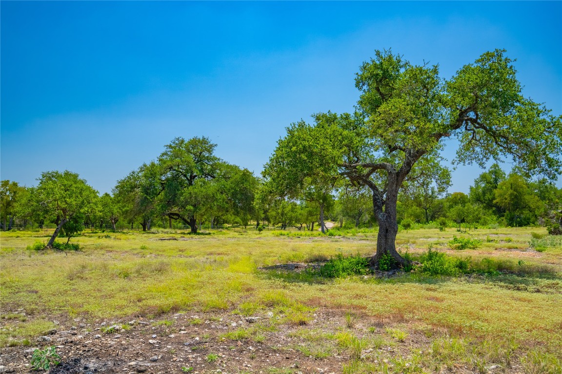 Ranch #6 Ranch Road Austin, TX 78737 - Photo 2 of 32 a view of a field with an trees