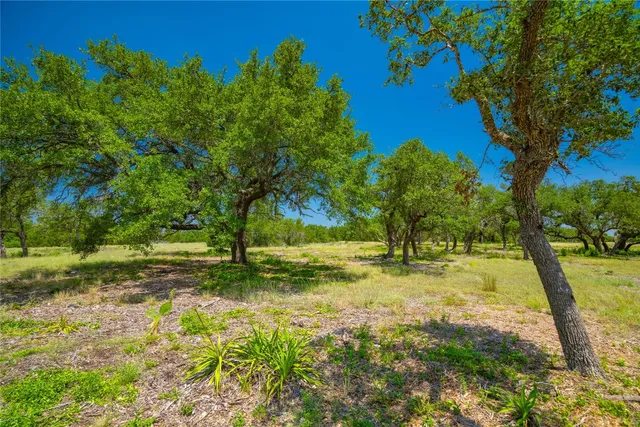 a view of yard with green space