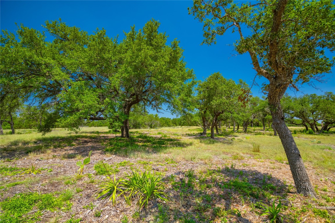 Ranch #6 Ranch Road Austin, TX 78737 - Photo 3 of 32 a view of yard with green space