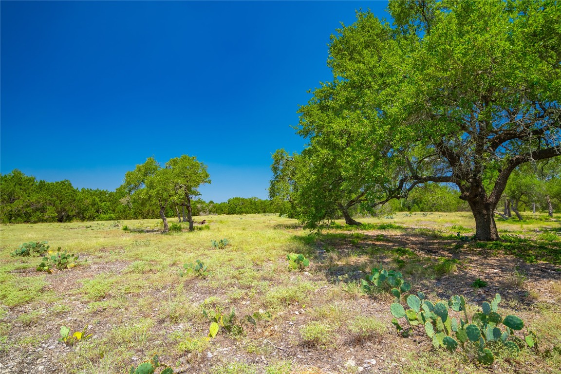 Ranch #6 Ranch Road Austin, TX 78737 - Photo 5 of 32 a view of a yard with an trees