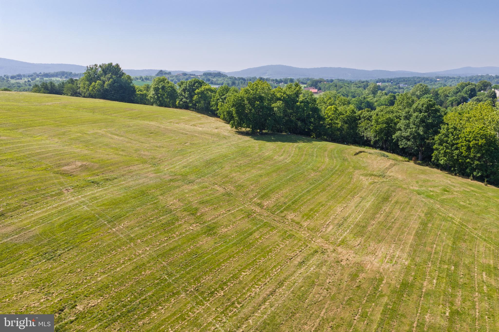 3150 Bidle Road Middletown, MD 21769 - Photo 61 of 93 Gallery Image 61