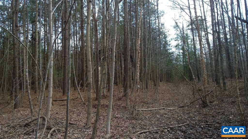 Fredericks Hall Rd Road Mineral, VA 23117 - Photo 3 of 9