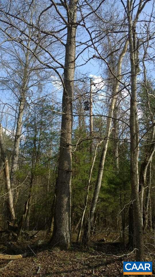 Fredericks Hall Rd Road Mineral, VA 23117 - Photo 7 of 9