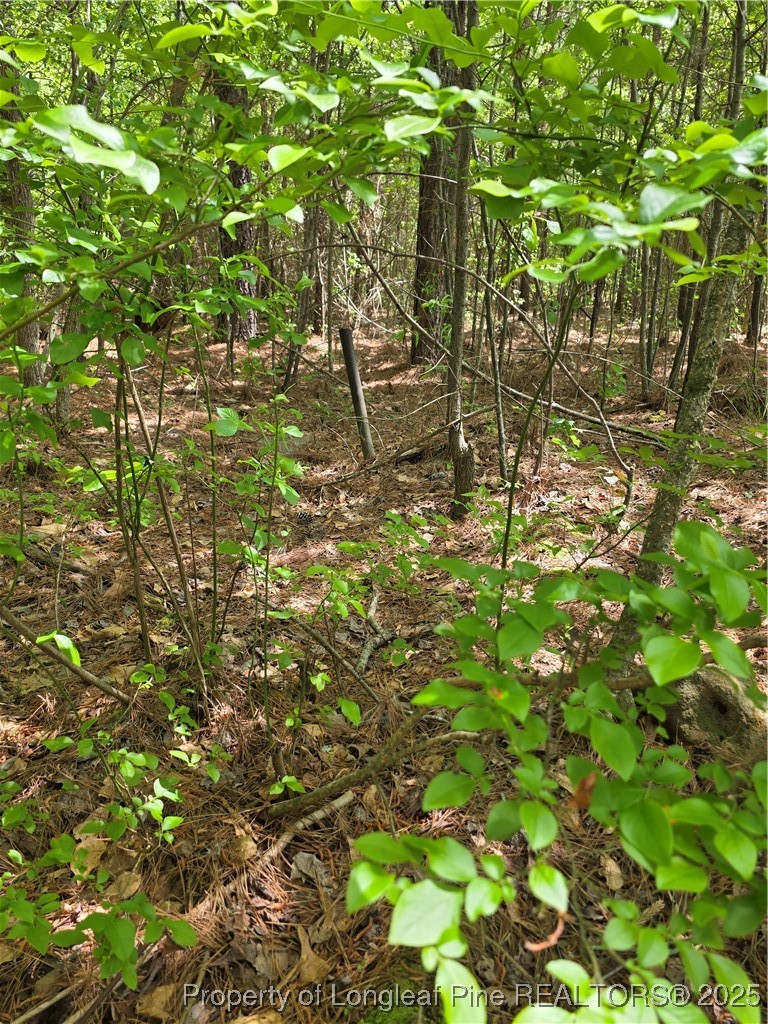 Fire Tower Lane Raeford, NC 28376 - Photo 2 of 5