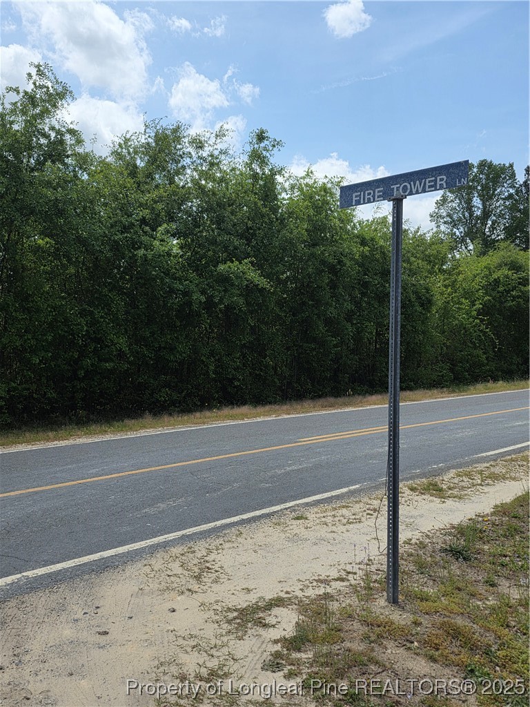 Fire Tower Lane Raeford, NC 28376 - Photo 3 of 5