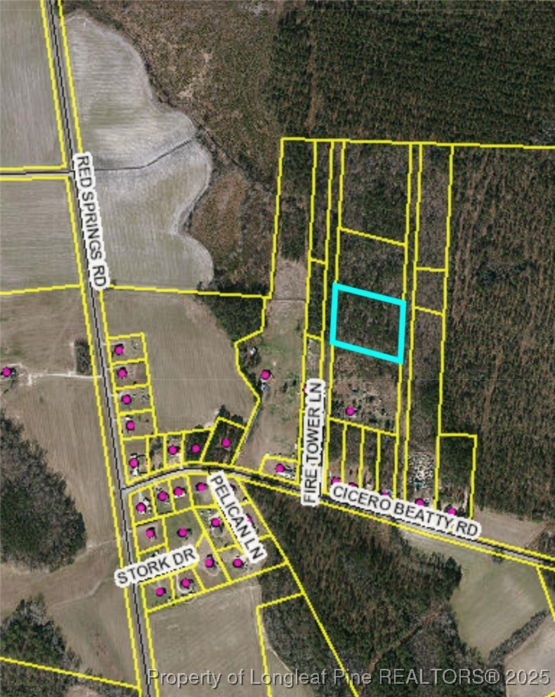 Fire Tower Lane Raeford, NC 28376 - Photo 5 of 5