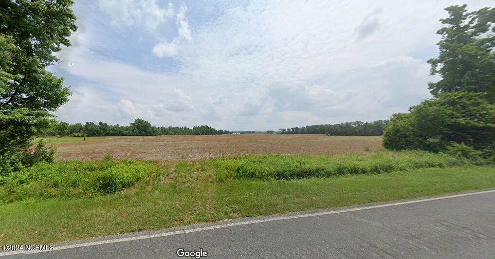 0 Wildcat Road Harrells, NC 28444 - Photo 1 of 10 20240208_0.wildcat_streetview