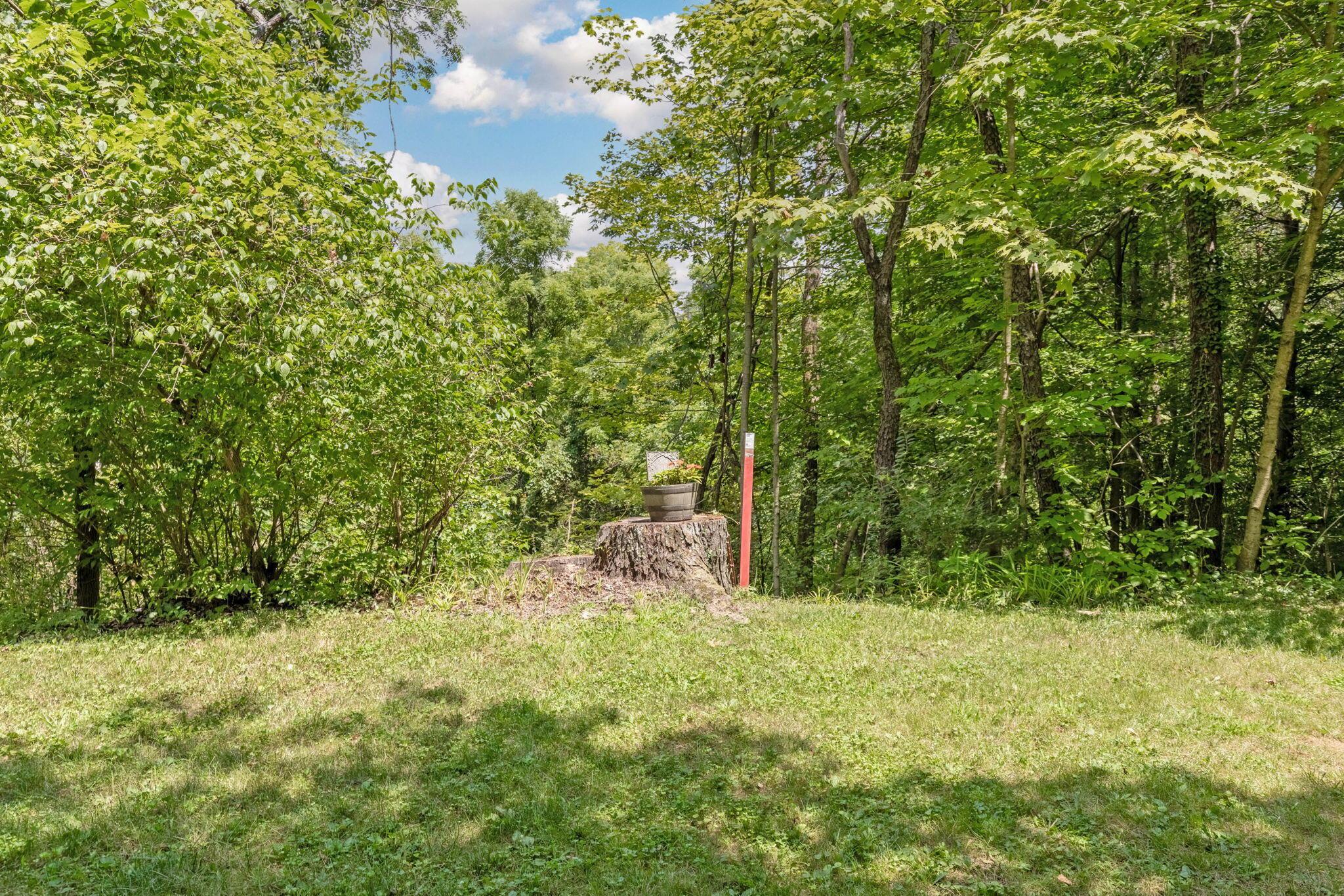 5510 Bowtown Road Delaware, OH 43015 - Photo 60 of 68 22-web-or-mls-5510BowtownRoadExt_Hommati