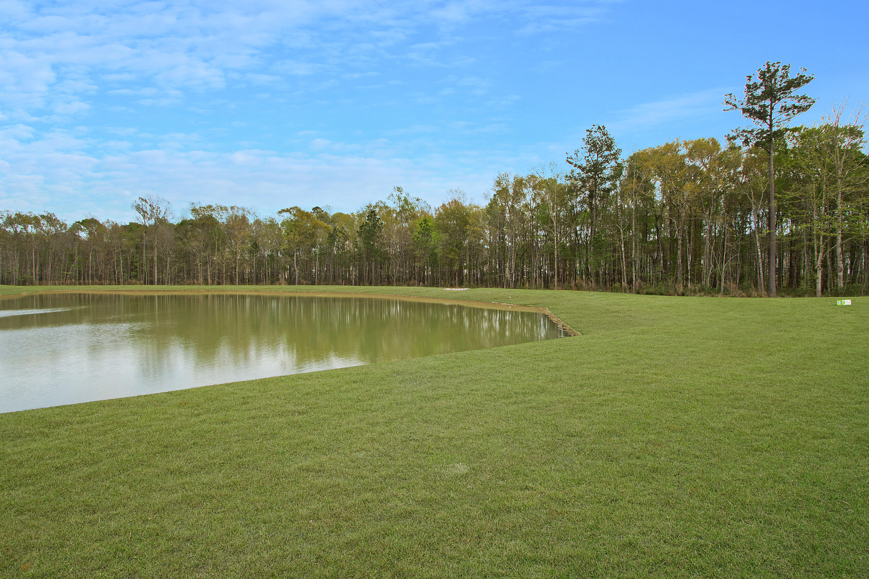 308 Knawl Road Moncks Corner, SC 29461 - Photo 26 of 27 Your backyard pond!