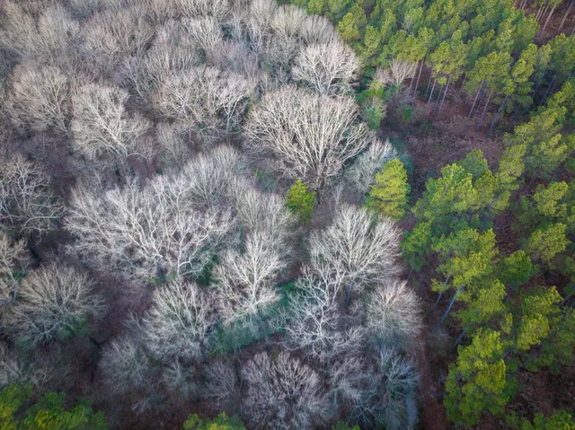 a view of lake with trees in the background