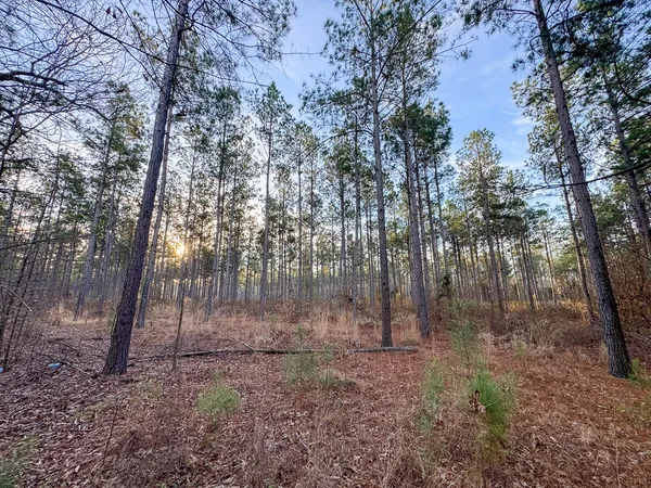 $62,168 | 4302 De Kalb Tx 75559, De Kalb, TX 75559