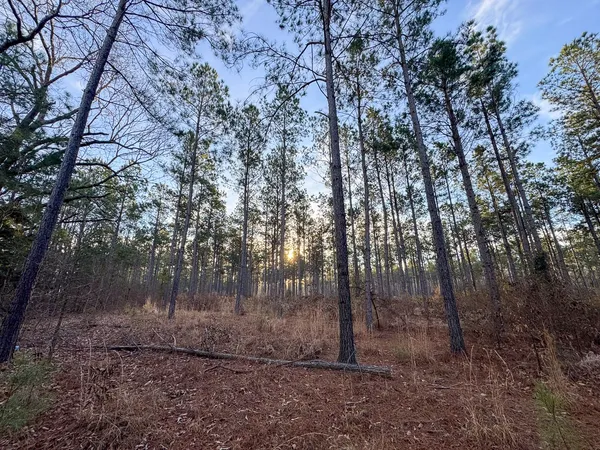 $62,168 | 4302 De Kalb Tx 75559, De Kalb, TX 75559