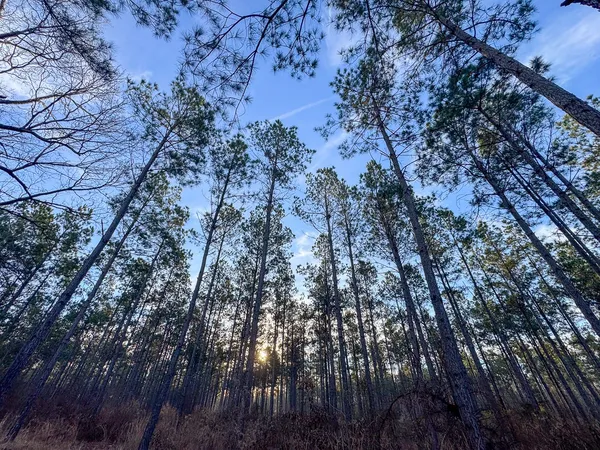 $62,168 | 4302 De Kalb Tx 75559, De Kalb, TX 75559