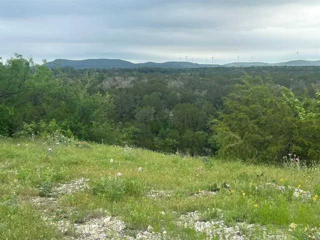 a big yard with lots of green space and deers