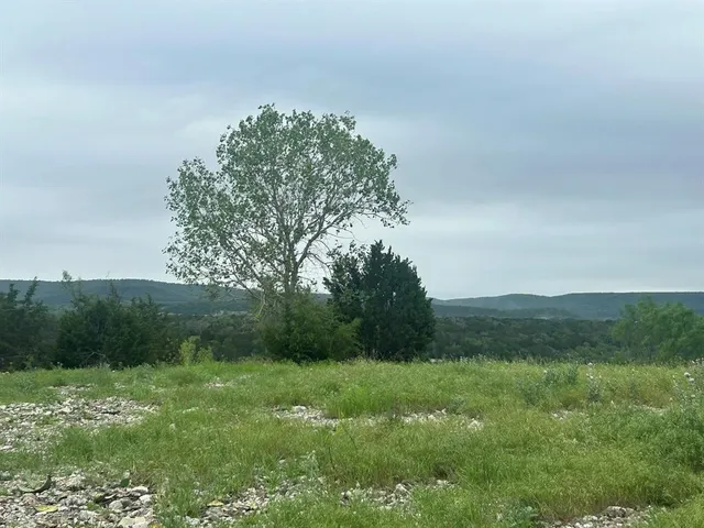 a view of a field with a tree in the background