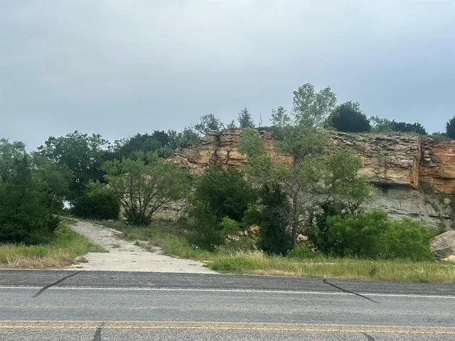 a view of a yard with plants and a small yard