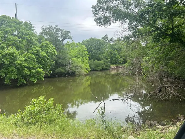 a view of a back yard