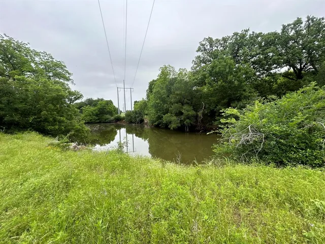 a big yard with lots of green space and deers