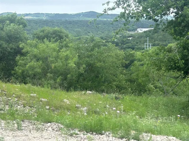 a view of a green field with lots of green space