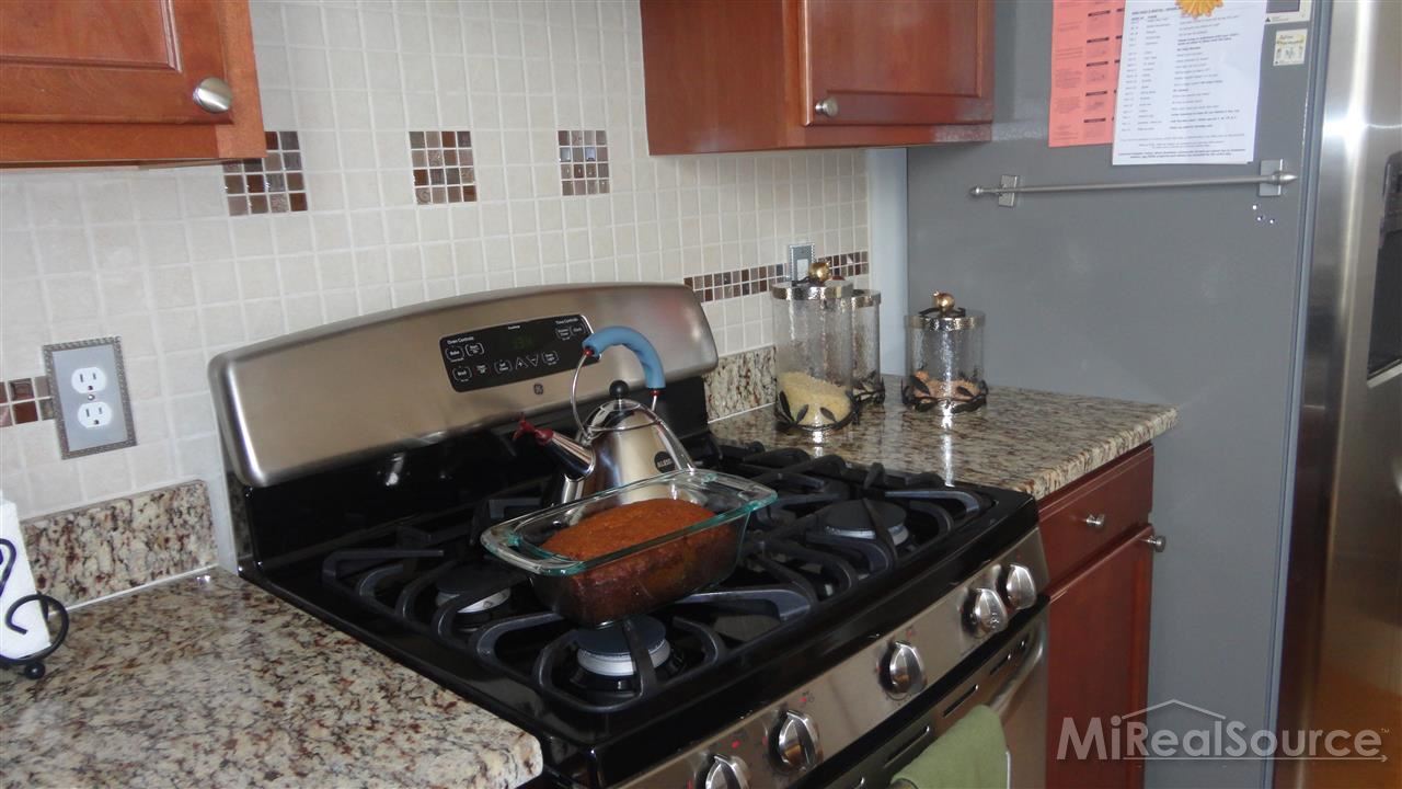 3310 Fantail Drive Rochester Hills, MI 48309 - Photo 6 of 54