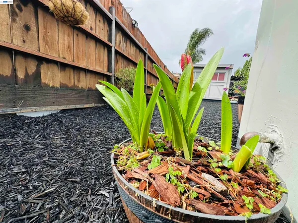 $499,000 | 1249 88th Avenue, Oakland, CA 94621